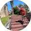 Josh Avatar