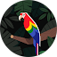 Gilbert Nichols Avatar